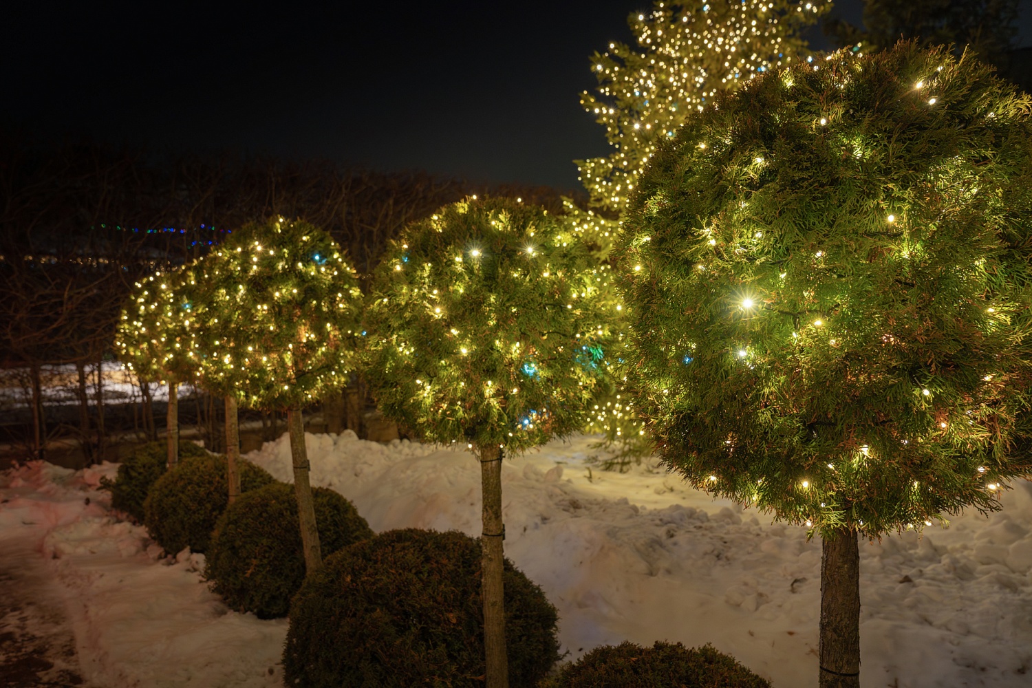 Истра, Миллениум Парк