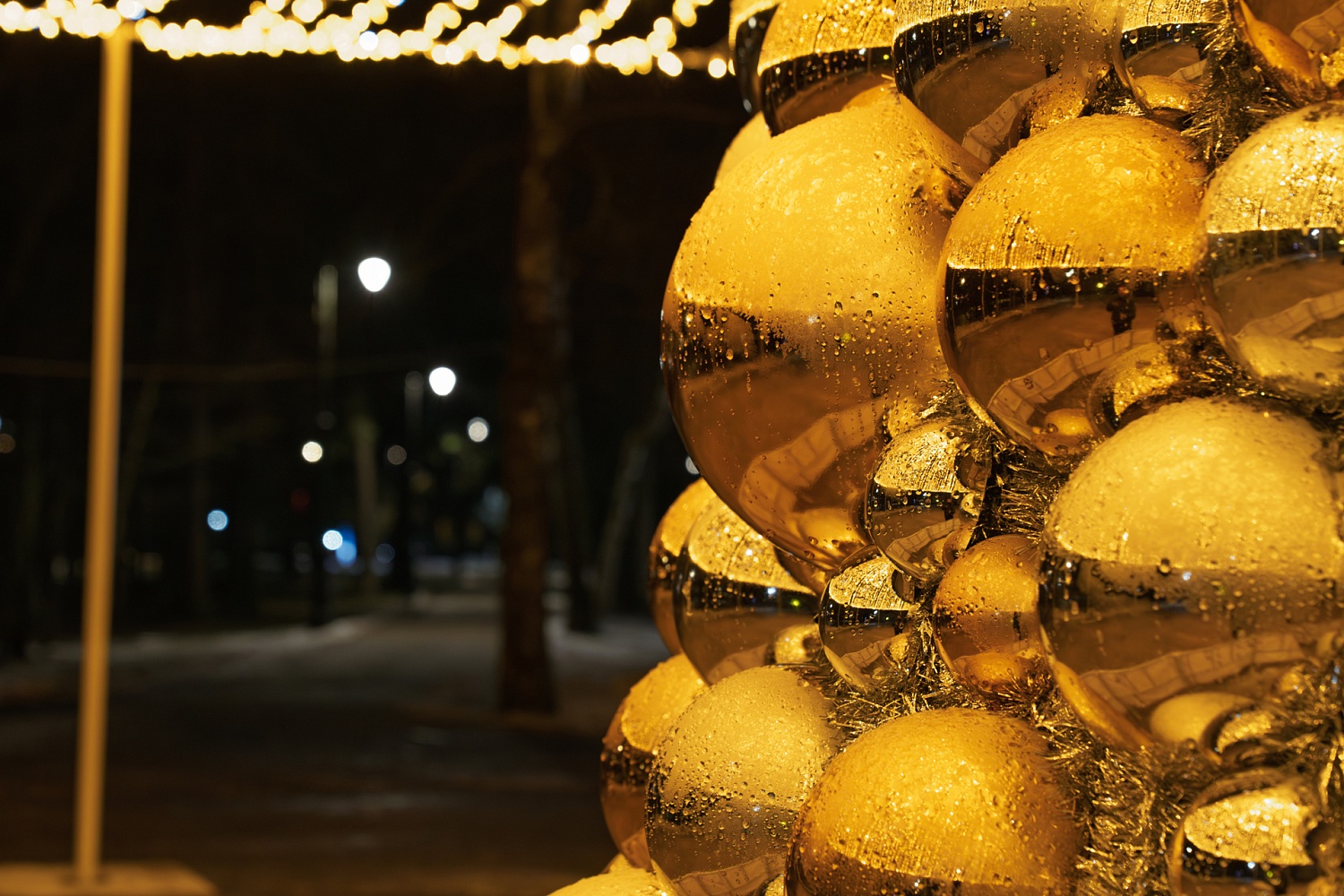 Дубна, площадь