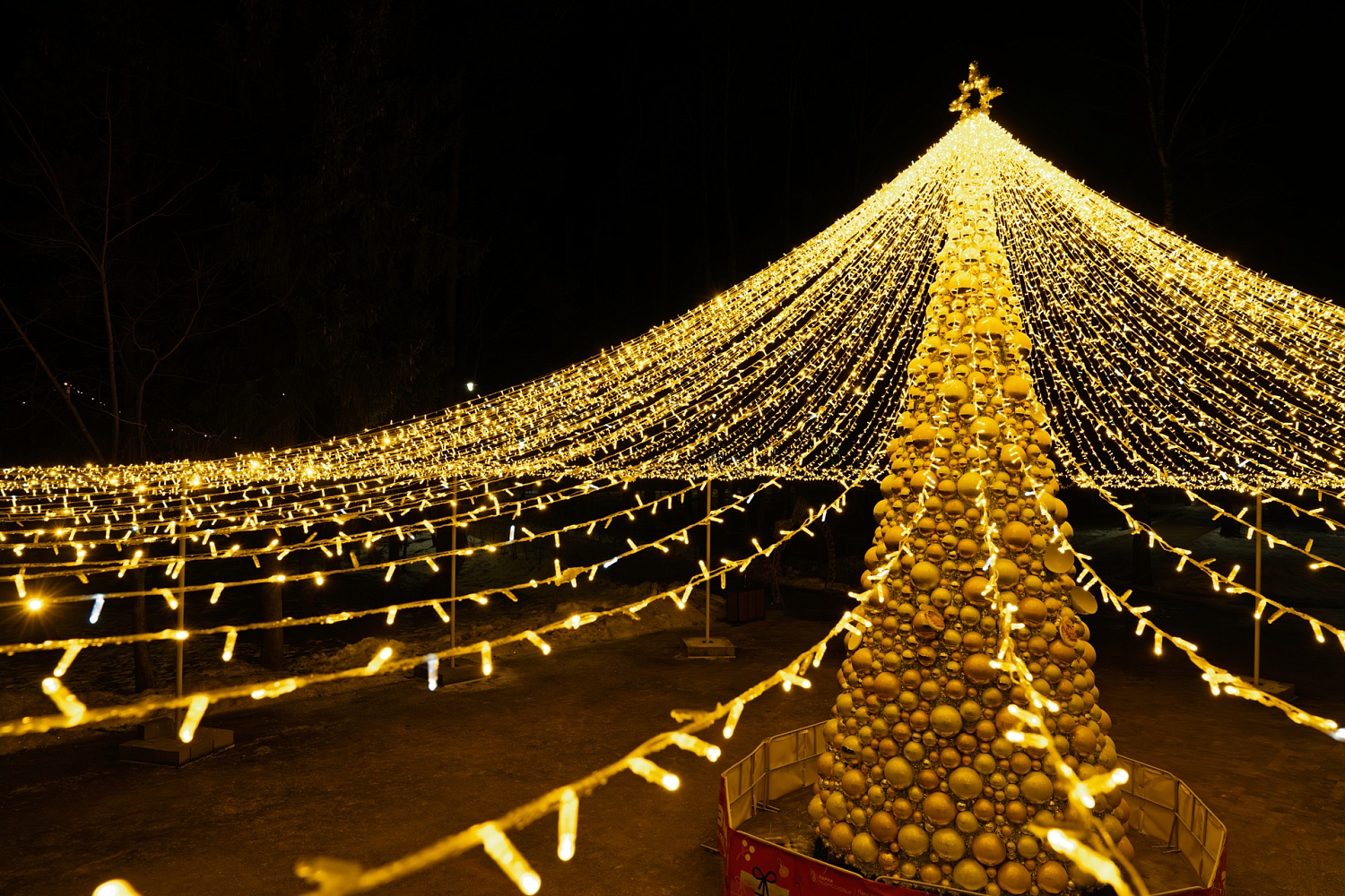 Дубна, площадь